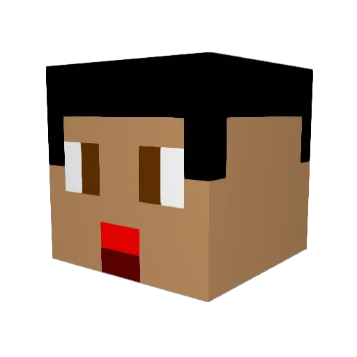 TheCoolGuyHere Minecraft avatar head, 3D render