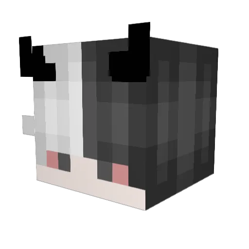 TheCooldude247 Minecraft avatar head, 3D render