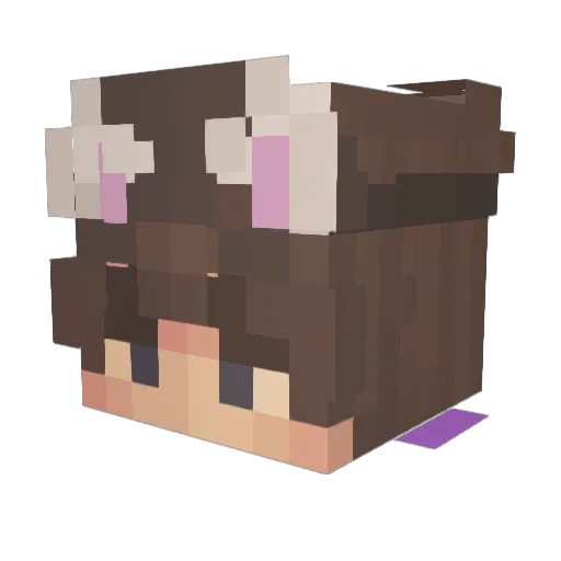 TheCoomMan69 Minecraft avatar head, 3D render