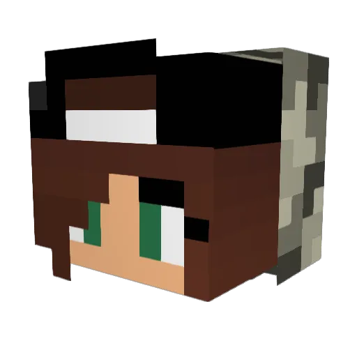 TheCosmosPotato Minecraft avatar head, 3D render