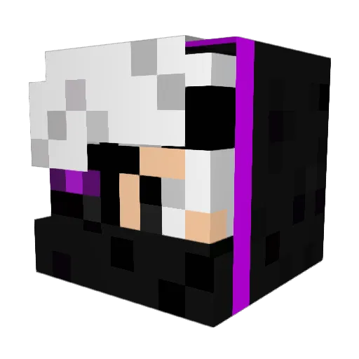 TheCozy_ Minecraft avatar head, 3D render