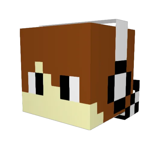 TheCrafter4114 Minecraft avatar head, 3D render