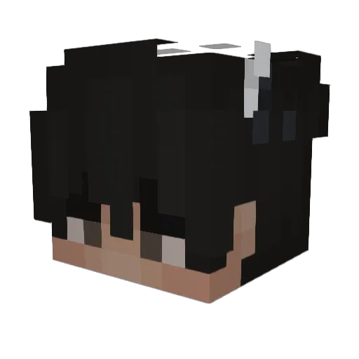 TheCraftyMiner14 Minecraft avatar head, 3D render
