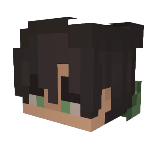 TheCrash24 Minecraft avatar head, 3D render