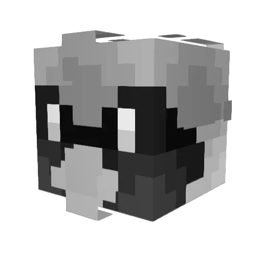 TheCrazyDed Minecraft avatar head, 3D render
