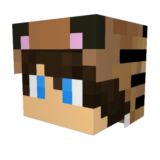 TheCrazyGamer73 Minecraft avatar head, 3D render