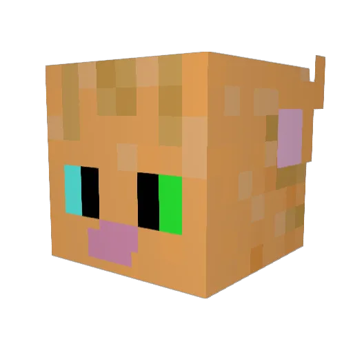 TheCrazyKat17 Minecraft avatar head, 3D render
