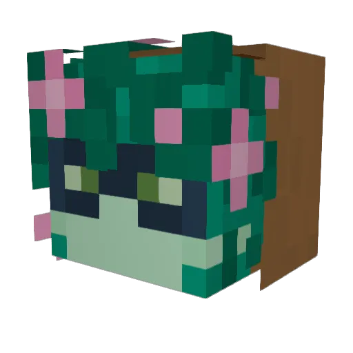 TheCrazyN00b1 Minecraft avatar head, 3D render