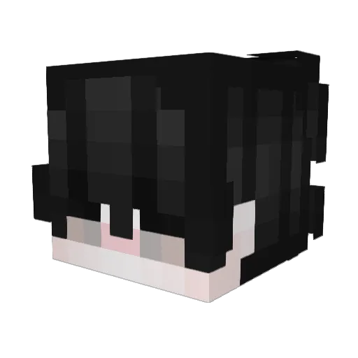 TheCrazyTR Minecraft avatar head, 3D render