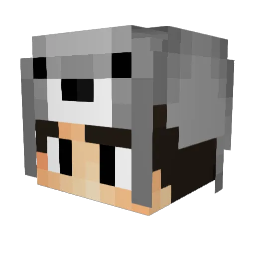 TheCrazyy Minecraft avatar head, 3D render