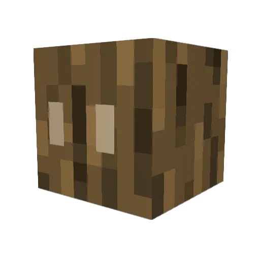 TheCrowbird Minecraft avatar head, 3D render