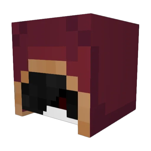 TheCult6666 Minecraft avatar head, 3D render