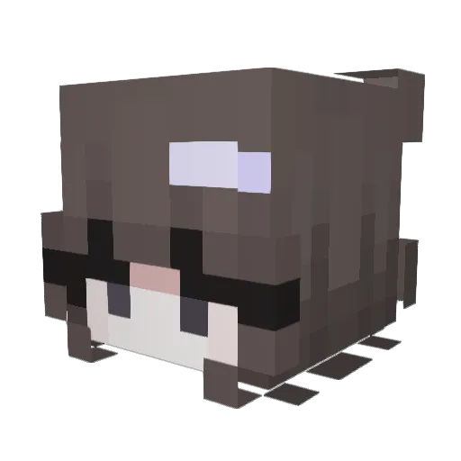 TheCutestKitten Minecraft avatar head, 3D render