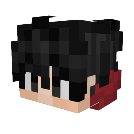 TheD4rkDoctor Minecraft avatar head, 3D render