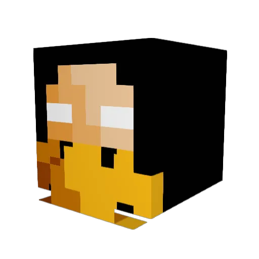 TheDailyKiwi Minecraft avatar head, 3D render
