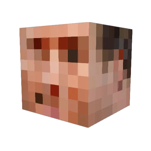 TheDan106 Minecraft avatar head, 3D render