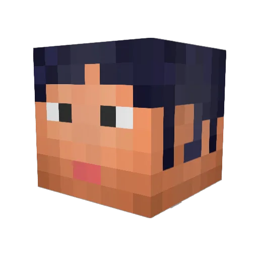 TheDancingLlama Minecraft avatar head, 3D render