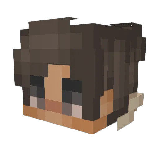 TheDani312Alt13 Minecraft avatar head, 3D render