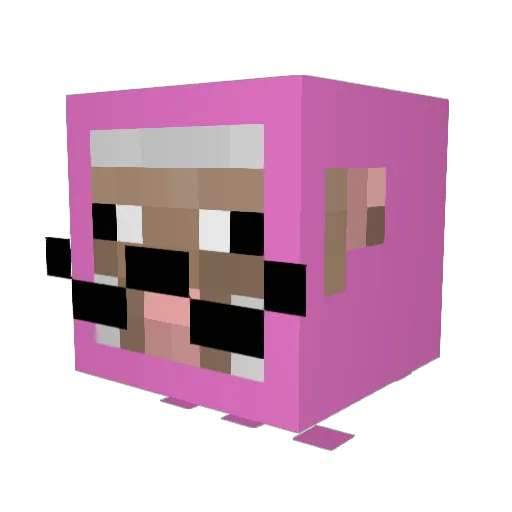 TheDankDorito Minecraft avatar head, 3D render