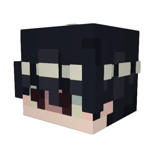 TheDarkLordAYT Minecraft avatar head, 3D render