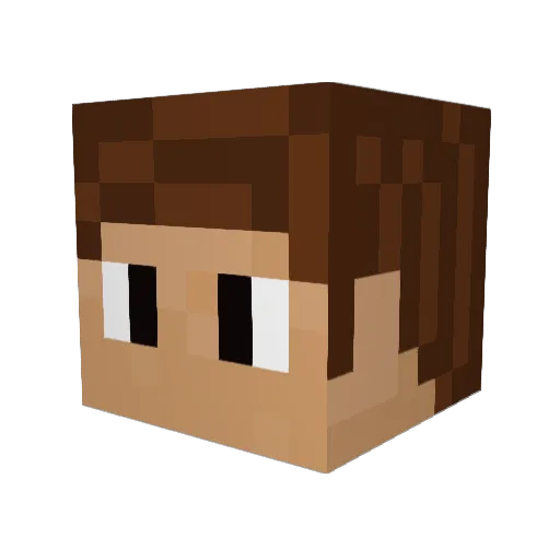 TheDarkMagicMC Minecraft avatar head, 3D render