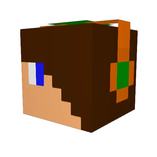TheDarkMaster99 Minecraft avatar head, 3D render