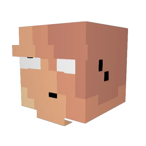 TheDarkNipRises Minecraft avatar head, 3D render