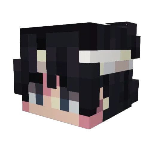TheDarkPast Minecraft avatar head, 3D render