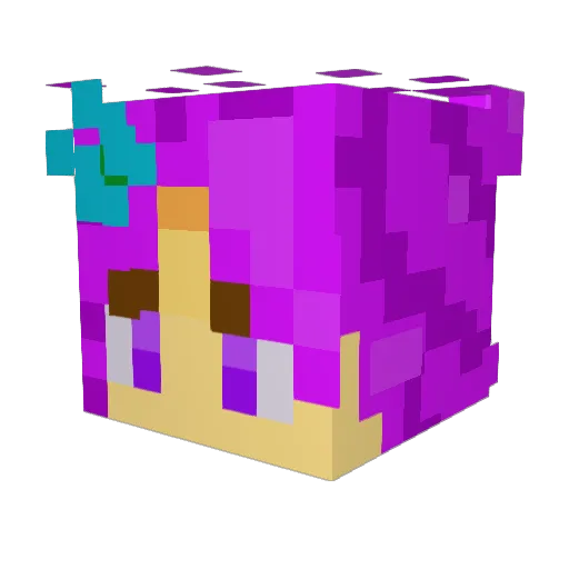 TheDarkRavenYT0 Minecraft avatar head, 3D render