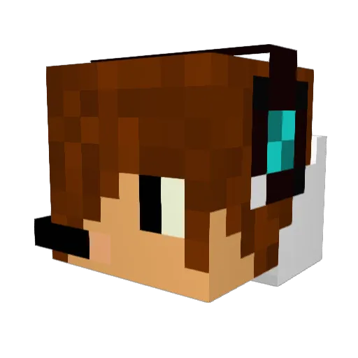 TheDarkShadow687 Minecraft avatar head, 3D render