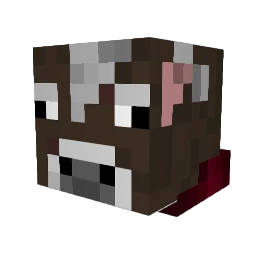TheDarkSide_666 Minecraft avatar head, 3D render