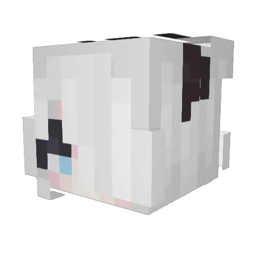 TheDarkVital Minecraft avatar head, 3D render