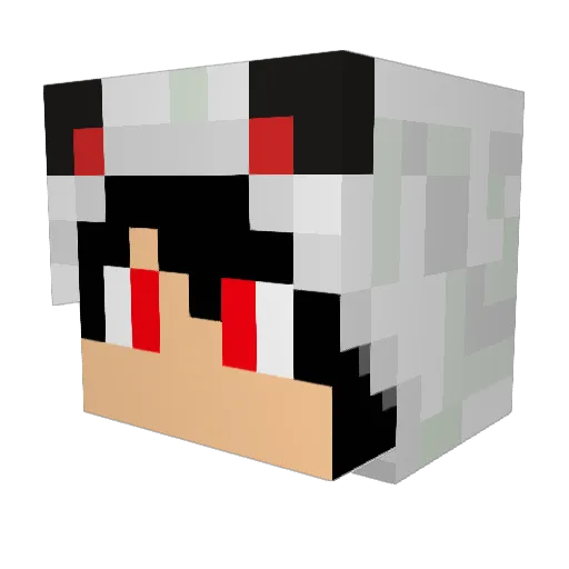 TheDarkWolf1901 Minecraft avatar head, 3D render
