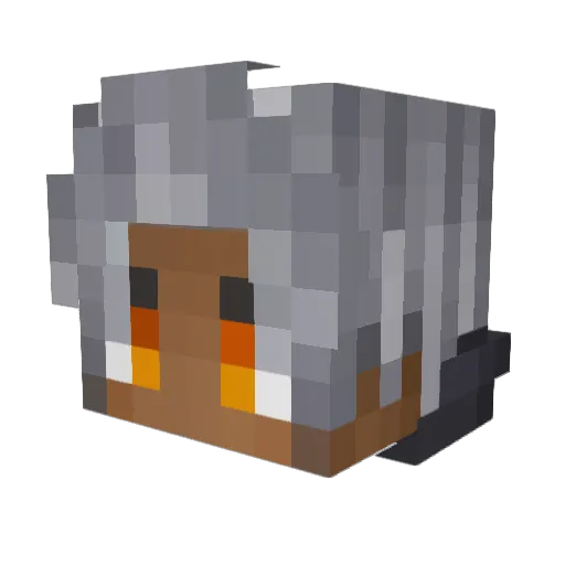 TheDarkerKnight_ Minecraft avatar head, 3D render
