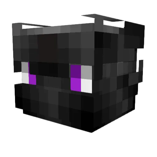 TheDarknessPlayz Minecraft avatar head, 3D render