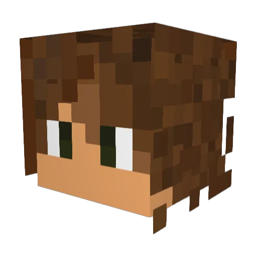 TheDarkside2911 Minecraft avatar head, 3D render