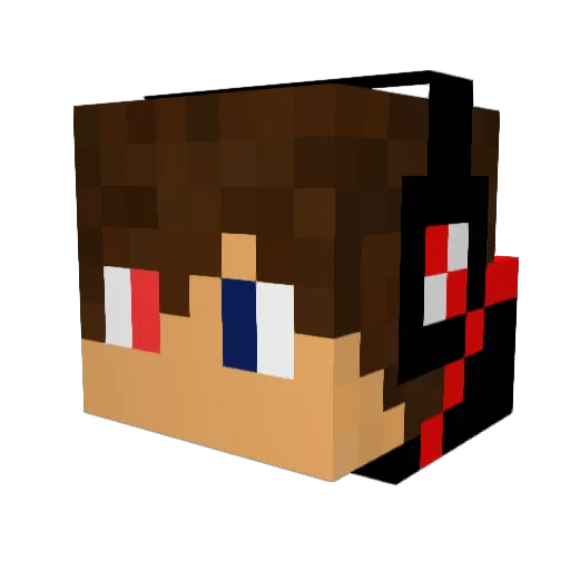 TheDarwinbad243 Minecraft avatar head, 3D render