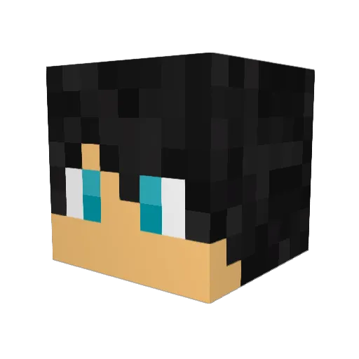 TheDasher44 Minecraft avatar head, 3D render