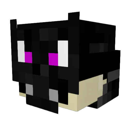 TheDeadReaper81 Minecraft avatar head, 3D render
