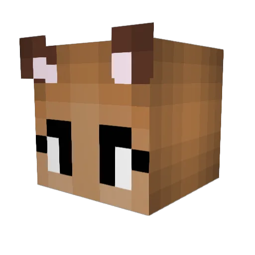 TheDeer22 Minecraft avatar head, 3D render