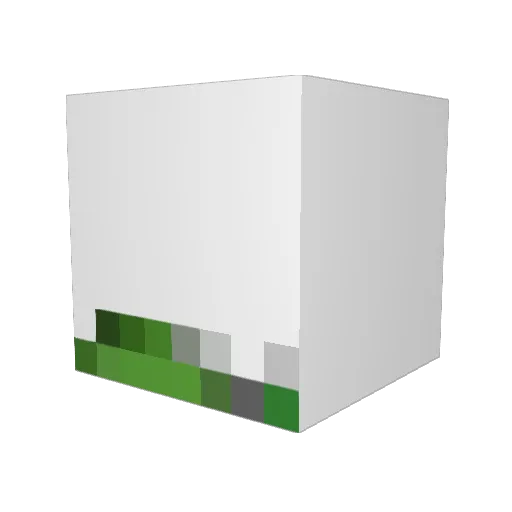 TheDementedCow Minecraft avatar head, 3D render