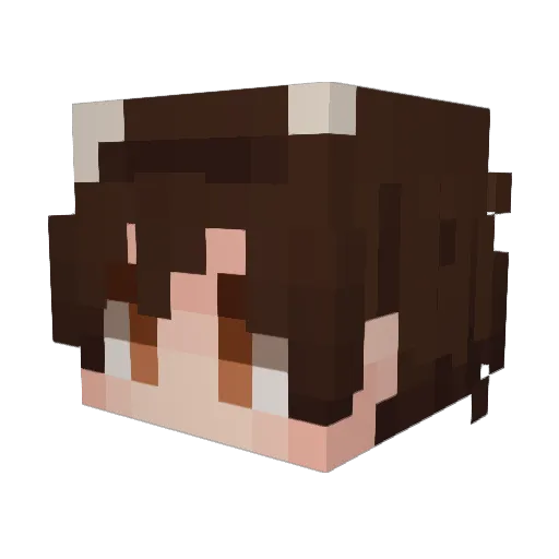 TheDemonFoxx Minecraft avatar head, 3D render
