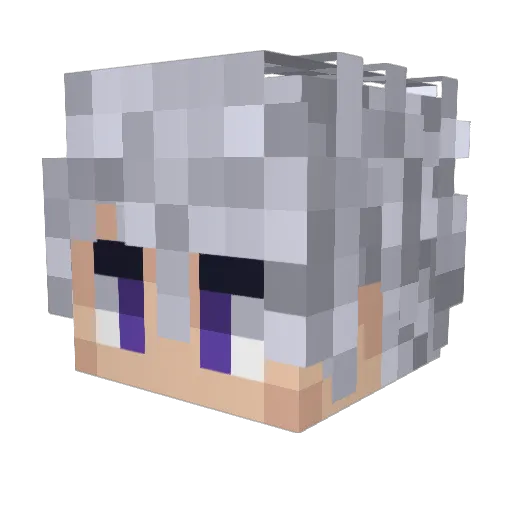 TheDesertFool Minecraft avatar head, 3D render