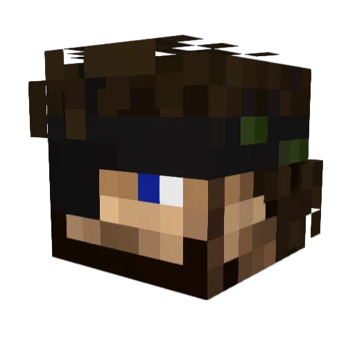 TheDesertPenguin Minecraft avatar head, 3D render