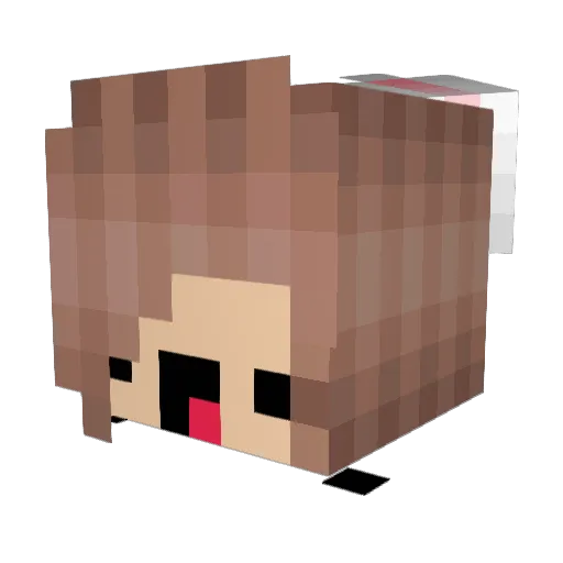 TheDesignerMiner Minecraft avatar head, 3D render