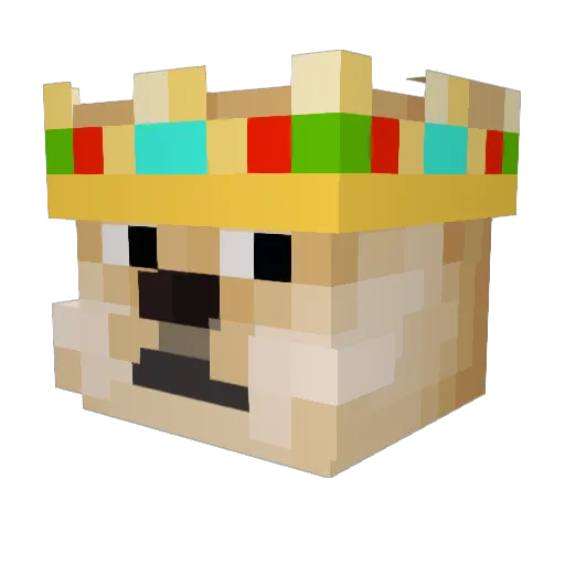 TheDetectiveDoge Minecraft avatar head, 3D render