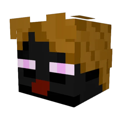 TheDetnator99 Minecraft avatar head, 3D render
