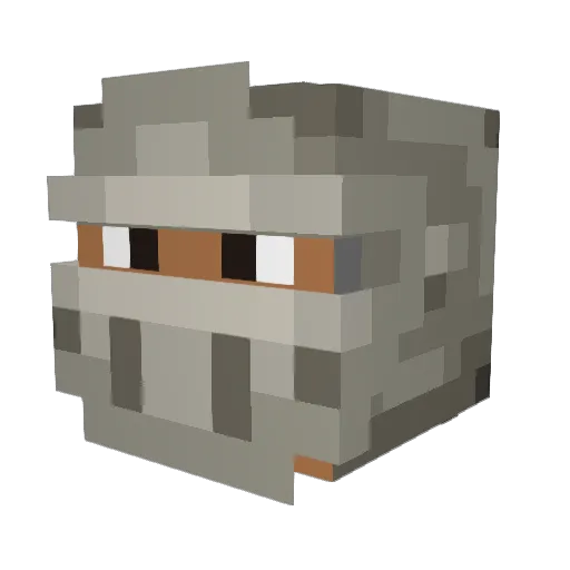 TheDevMaster Minecraft avatar head, 3D render