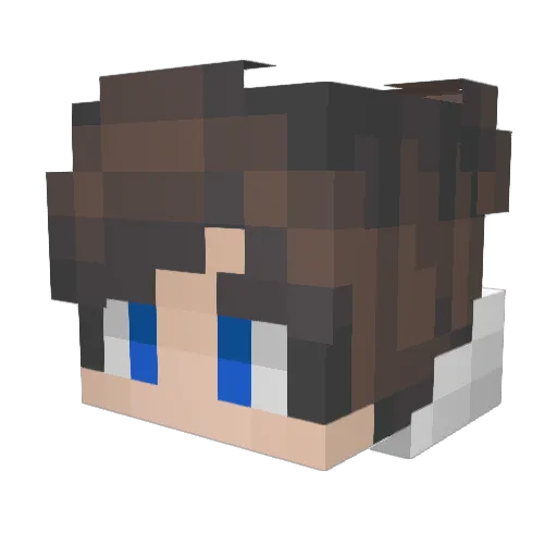 TheDevVortex Minecraft avatar head, 3D render