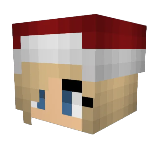 TheDevilDucky Minecraft avatar head, 3D render